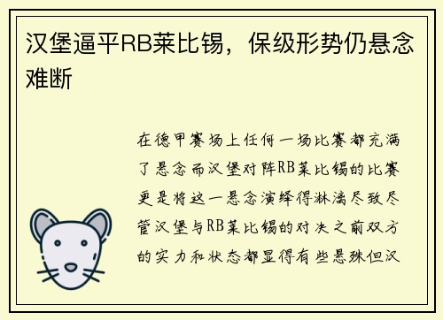汉堡逼平RB莱比锡，保级形势仍悬念难断